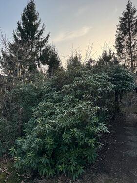 Foto - andere in Winsen (Aller) zur Miete