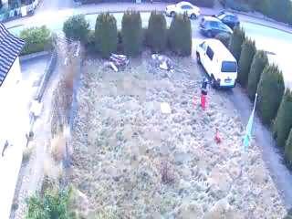 Foto - 5 Zimmer Einfamilienhaus zum Kaufen in Schönkirchen