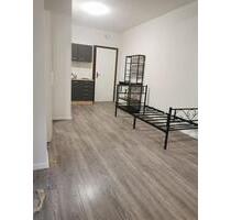 Saniertes und vollmöbliertes Studio-Appartment zu vermieten - Röthenbach an der Pegnitz