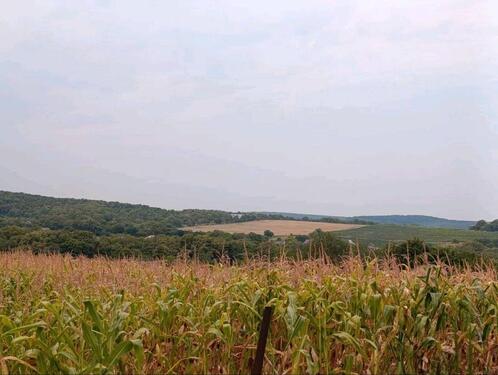 Foto - Haus in Russland - 78.000,00&nbsp;EUR Kaufpreis, ca.&nbsp; 100,00&nbsp;m&sup2;