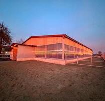 Pferdehof Reitanlage Wohnhaus Pferdestall - Bopfingen