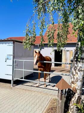 Foto - Einfamilienhaus zum Kaufen in Bopfingen