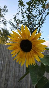 Foto - Große Garten Freiheit - 1.750,00 EUR Kaltmiete, ca.  0,00 m²