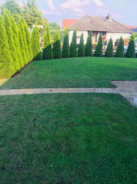 Foto - 2 Zimmer Dachgeschoßwohnung in Nienhagen