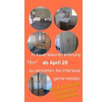 Wohnung 75 m² zur Miete ab AprilMai 2026 - Hahn