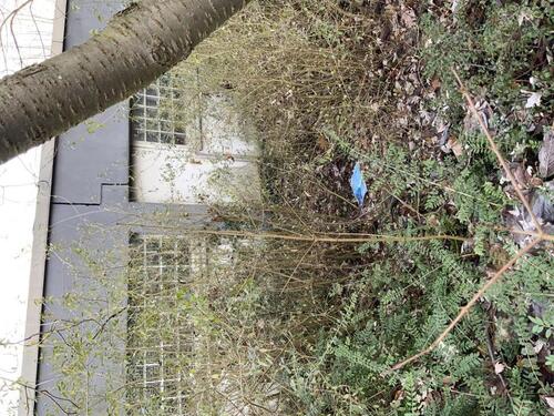 Foto - Etagenwohnung in Wilhelmshaven zur Miete