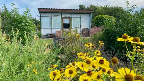 Foto - Pachtgarten mit Laube in Finsterwalde abzugeben