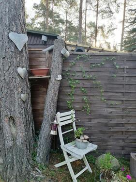 Foto - Grundstück zur Miete in Brück