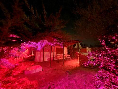 Foto - klein garten in Taucha Video in der Beschreibung