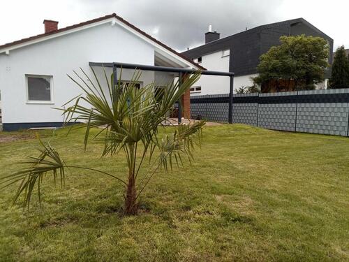 Foto - 7 Zimmer Einfamilienhaus in Sankt Leon-Rot