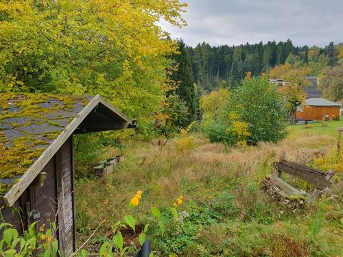 Foto - Garten im Erzgebirge - 35,00 EUR Kaltmiete, ca.  0,00 m²