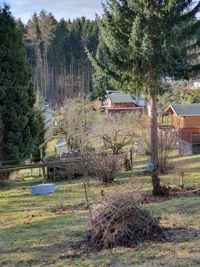 Foto - Grundstück in Pockau-Lengefeld