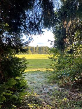 Foto - Einfamilienhaus zum Kaufen in Marktleugast