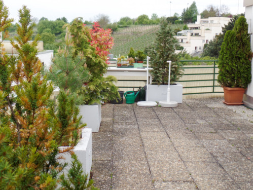 Foto - 3 Zimmer Etagenwohnung in Kirchheim am Neckar