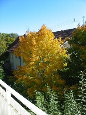 Foto - 2 Zimmer Etagenwohnung in Poing