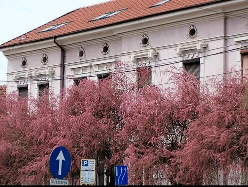 Foto - 82mp 2 Zimmer Wohnung komplett saniert +18mp Garage in Temeswar