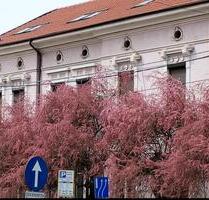 82mp 2 Zimmer Wohnung komplett saniert +18mp Garage in Temeswar - München Altstadt-Lehel
