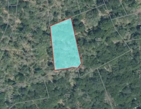 Foto - Naturschutzflächen in Kaub (ALGV 2 - 3)