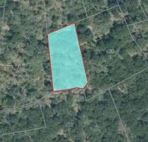 Naturschutzflächen in Kaub (ALGV 2 - 3)