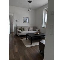 Moderne Einliegerwohnung - Neubau, vollmöbiliert - Lohr am Main