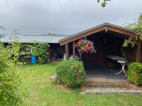 Foto - **Kleingarten – idyllisches Stück Natur wartet auf neue Hände**