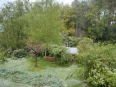 Foto - 7 Zimmer Einfamilienhaus in Aachen