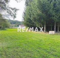 !! Investieren Sie in die Zukunft...!! 11.447 m² Grundstück + 2 FH und... und... und...!!! - Tholey