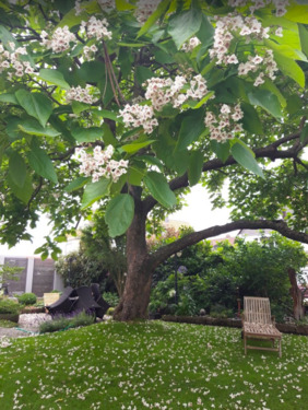 Foto - Doppelhaushälfte in Wolfsburg zum Kaufen