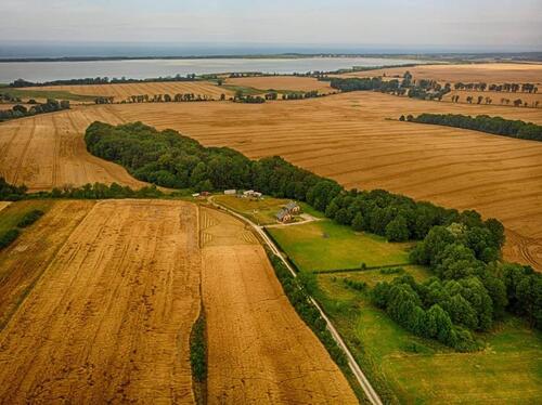 Foto - andere zur Miete in Dresden