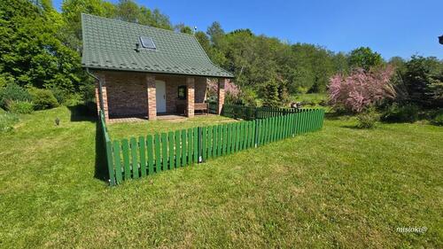 Foto - andere in Dresden