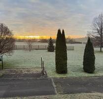 Wohnung zu vermieten 6 Zimmer in 88639 Wald