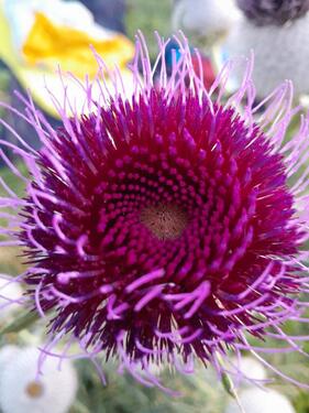 Foto - Wir freuen uns auf unser Zuhause in Bad Feilnbach