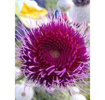 Wir freuen uns auf unser Zuhause in Bad Feilnbach - Frasdorf