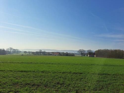 Foto - Einfamilienhaus in Espelkamp zum Kaufen