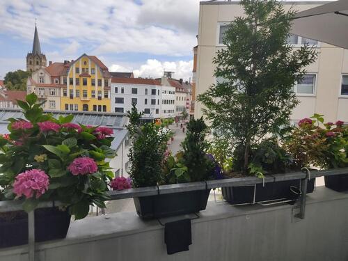 Foto - Große Stadtwohnung am Alten Markt – ideal für Familien oder WG´s