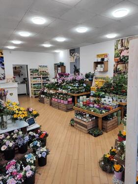 Foto - andere zur Miete in Kamen