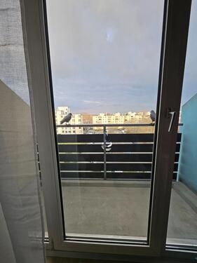 Foto - 1 Zimmer Etagenwohnung zur Miete in Mainz