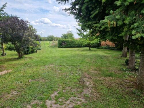 Foto - andere in Prenzlau zur Miete