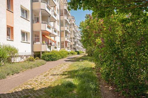 Foto - 1 Zimmer Etagenwohnung zur Miete in Neubrandenburg