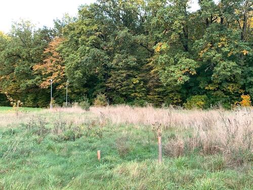Foto - bauträgerfreies Grundstück in Stadt Frohburg, Baulücke