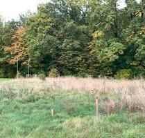 bauträgerfreies Grundstück in Stadt Frohburg, Baulücke
