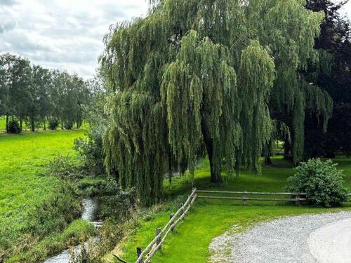 Foto - Einfamilienhaus zur Miete in Steinheim