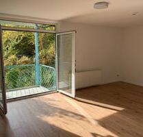 Freie 2-Zimmerwohnung in zentraler Lage mit Balkon - Göttingen Grone