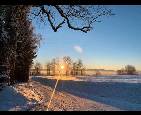 Foto - Einfamilienhaus in Stammbach zum Kaufen