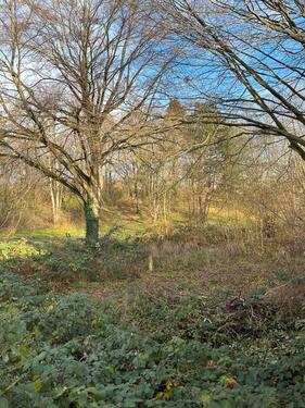 Foto - Einfamilienhaus in Paderborn zum Kaufen