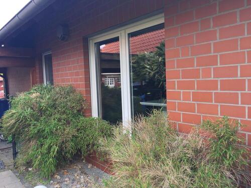 Foto - Einfamilienhaus in Meine zur Miete