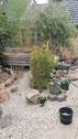 Foto - 5 Zimmer Einfamilienhaus in Wassenberg