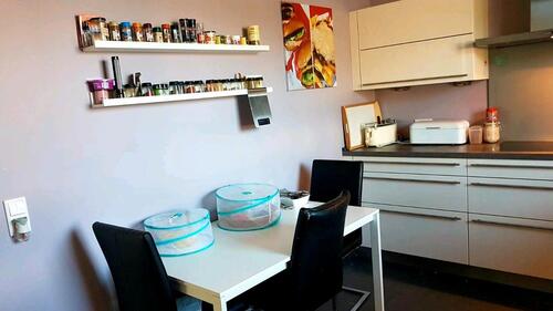 Foto - 7 Zimmer Einfamilienhaus zur Miete in Kirchhain