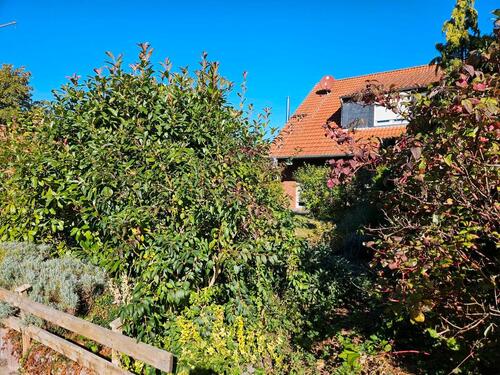 Foto - Einfamilienhaus in Schwülper zum Kaufen