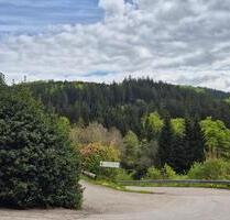 Schöne 2-Zimmerwohnung mit 60 m² in Willingen-Hoppecketal (577-UG) - Willingen (Upland)